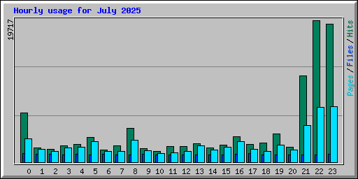 Hourly usage for July 2025