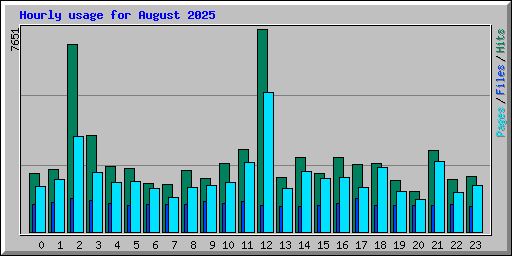 Hourly usage for August 2025